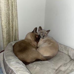 Meet your Posher, Vickie